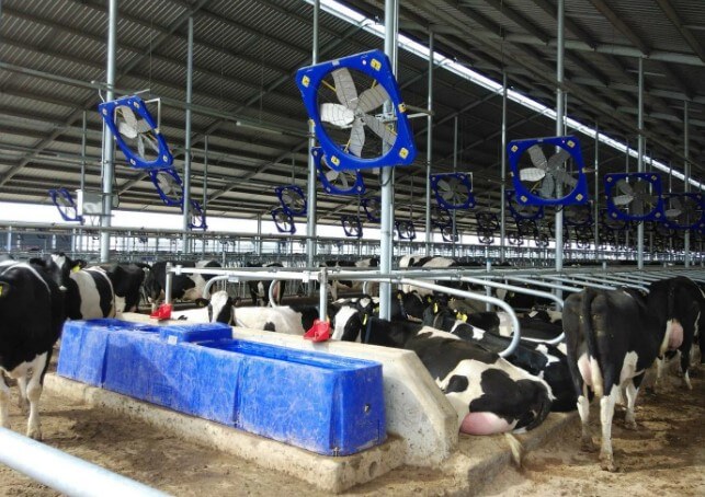 Вентиляторы для коровника
