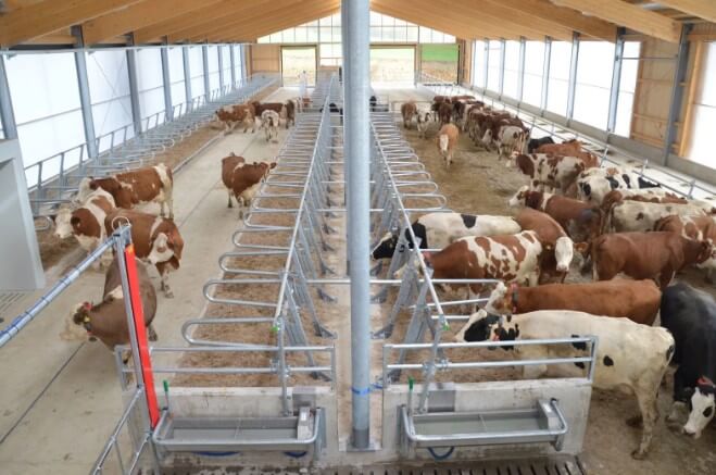 Содержание КРС